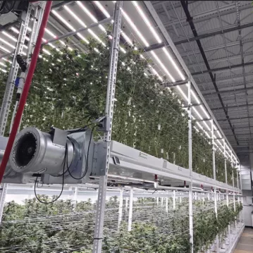 Cannabis facility