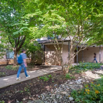 A school building sits underneath a tree