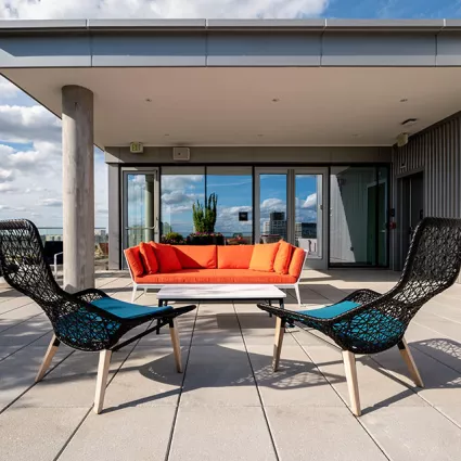 909 Rose Ave roof terrace