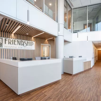 inside of a veterinary hospital