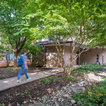 A school building sits underneath a tree