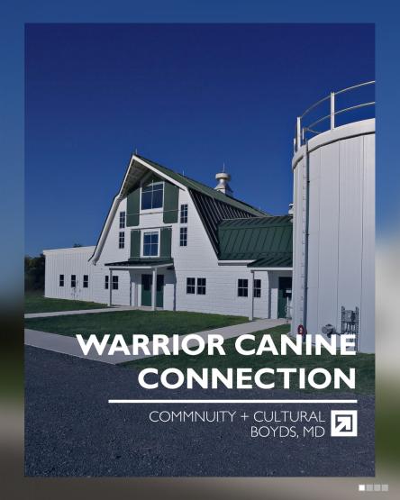  Who can resist such adorable pups 

@warriorcanineconnection (WCC) is a non-profit who specializes 