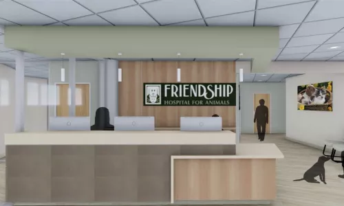 Friendship Hospital for Animals