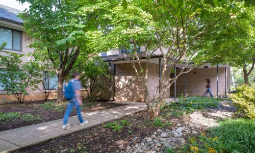 A school building sits underneath a tree